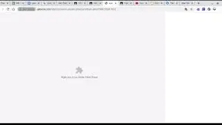 Enable Flash Player