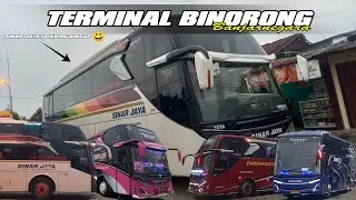 Sinar Jaya Dream Coach 71 RF Rolling Wonosobo-Bogor Dan Ada Sinar Jaya 10 XA RG Airsus 👀