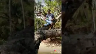 Bob Marley beach resort
