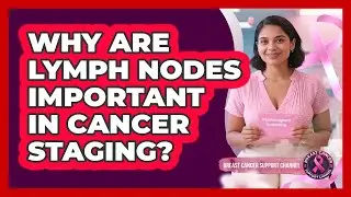Why Are Lymph Nodes Important In Cancer Staging?