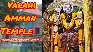 varahi Amman temple coimbatore periyanayakkanpalayam 🙏🏻#varahi