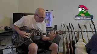 GUITAR REVIEW: Prs Wood Library Guitar: Great or not so Great