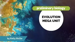 Life on Earth - 8.4.1.i) - Conditions on early Earth and the origin of organic molecules