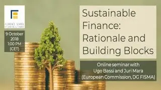 Sustainable Finance: Rationale and Building Blocks