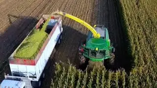 8.4 Million Acres of Fodder Crops Are Harvested in America This Way |Harvest Processing