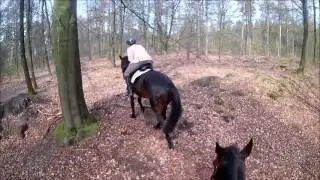 buitenrit bij afgraving gasselte 31-03-17