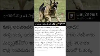 #viral #shorts #trending #legal #socialpostlegal #law #lawyer #advocate #sumantvlegal #abnlegal #yt