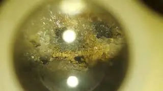 I found a mine. Gold Basin. #goldprospecting #goldmining #minerals #mining