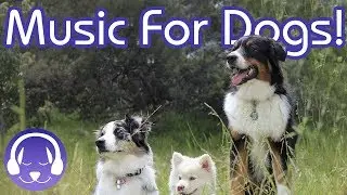 Pet Therapy: Music for Stressed, Anxious or Hyperactive Dogs!