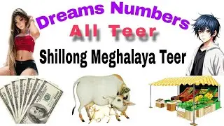 Dreams Numbers|| All Teer||Shillong Meghalaya Teer Dream Number||