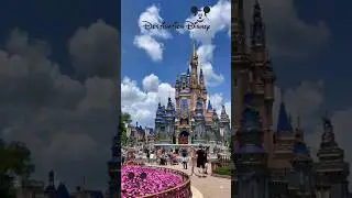 A Day At Magic Kingdom  #disney #disneyworld #disneyparks #magickingdom #youtube #shorts
