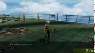 FFXII: The Zodiac Age - 100% Seitengrat (Timer Method) with Wsplit (Outdated)