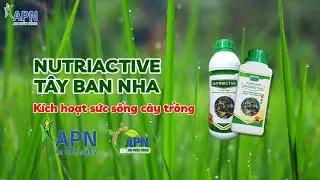 APN - NUTRIACTIVE PLANT VITALITY - SPANISH NUTRIENTS #anphatnong