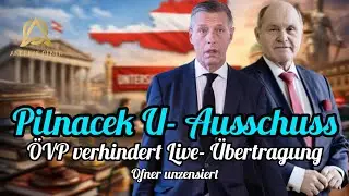 Pilancek U- Ausschuss | &Ouml;VP verhindert &Uuml;bertragung | was ist wirklich passiert | Ofner unzensiert 