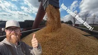 Corn Harvest Continues, Race Against the Weather ! 
