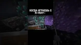 ПОВ: КОГДА ИГРАЕШЬ С XRAY! 😂 #xray #memes #майнкрафтмемы #мем #майнкрафт #майнкрафтвыживание