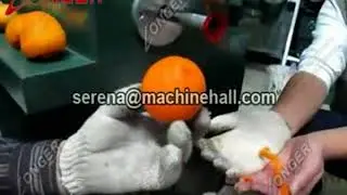 Industrial Persimmon Peeling Machine / Citrus Grapefruit Guava Skin Peeler Price