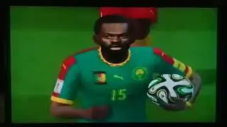 🇨🇲 S&eacute;bastien Siani  ⚽ ⚽