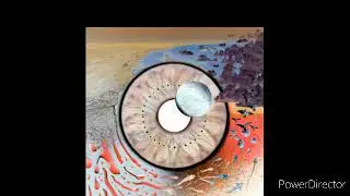 Pink Floyd - Poles Apart (Live -PULSE bonus track - Bootlegging the Bootleggers audio)