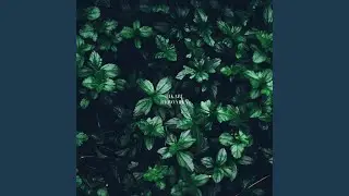 HIKARI