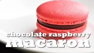 How to Make Macaron with RASPBERRY CHOCOLATE FILLING! (A Gluten Free Recipe!!)