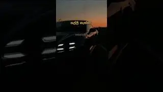 💯MOTIVATION💥#education #motivation #srilanka #study #status #cat #cute #education #automobile