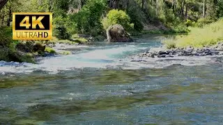 Swift River Sounds for Deep Sleep & Focus | Relaxing Water Ambience