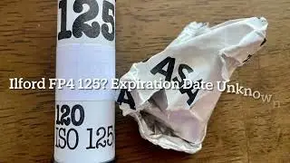 My Large Format Photography 2023, No. 1, Horseman 612 Roll Film Back for 4X5 Camera