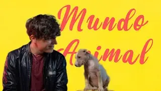 Mundo Animal | Luis Álvaro | Stand Up Comedy