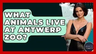 What Animals Live At Antwerp Zoo? - Exploring The Benelux