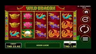 عكعكنا في اول فيديو Dragon 🫨🔥😅💯 #casino tunisie
