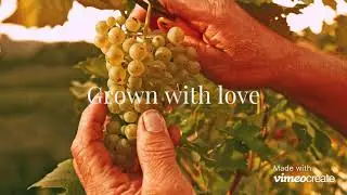 SuperVeg Online Vegetables & Fruit Nanded