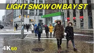 Light Snow on Bay Street in Downtown Toronto Walk (Dec 2021)