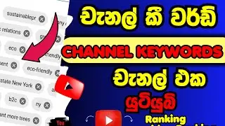 Youtube channel keywords sinhala / how to set channel keywords sinhala / channel keywords