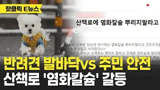 반려견 보호 vs 주민 안전&hellip;산책로 제설 논란｜ TJB