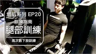 2018腿+下肢肌肥大訓練計畫｜My 2018 legs & lower body training routine｜增肌系列 EP20