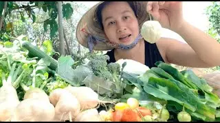 H&aacute;i khổ qua tr&aacute;i tim trắng đ&agrave;i loan,củ cải đ&ugrave;i g&agrave;,x&agrave; l&aacute;ch romaine,b&ocirc;ng cải,bắp cải