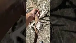 Hoy hay un nuevo v&iacute;deo en directo.