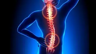 Chiropractic Care Long Island at Dr. Gary Olson