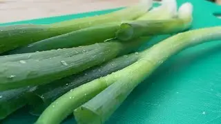 Lowers blood sugar levels with spring onion  prevent cold and flu and you eyes!