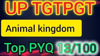 ANIMAL KINGDOM : LEUCOSOLENIA & SYCON ||TGTPGT||BIOLOGY||PYQ||BPSCTGTPGT||UPTGTPGT||ALLTGTPGTEXAM||