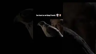 Ever heard an owl flying? Exactly. 👻🦉 #facts #knowledge #intresting