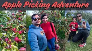 USA Re Apple Picking| Pick Your Own Apples 🍎 | Authentic Farm Experience in America!!Apple Orchard