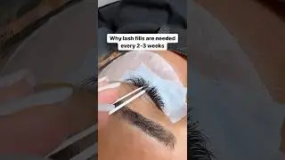 Why lash fills are needed every 2-3 weeks 🤩 #lashextensions #lashes #lash #makeup #makeupartist