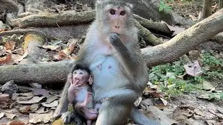 Such A beautiful day! This is very special action of mom Anna educated baby AMINA perfectly 