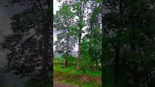 #beauty #needsupport in #pakistan #education #tourism #kp #school #arabic #student #song #joker