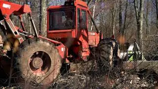 Timber Harvest
