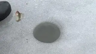 Ice fishing 'only way to catch some rest' in east Ukraine