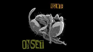 Mslwte - Onset - NFR013