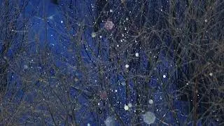 Diamond dust 2026 0121 10
